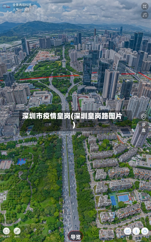 深圳市疫情皇岗(深圳皇岗路图片)