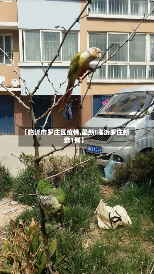 【临沂市罗庄区疫情,最新!临沂罗庄新增1例】-第1张图片