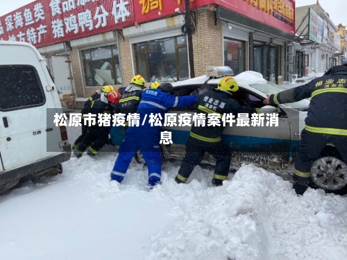 松原市猪疫情/松原疫情案件最新消息-第1张图片