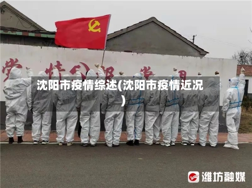 沈阳市疫情综述(沈阳市疫情近况)-第1张图片