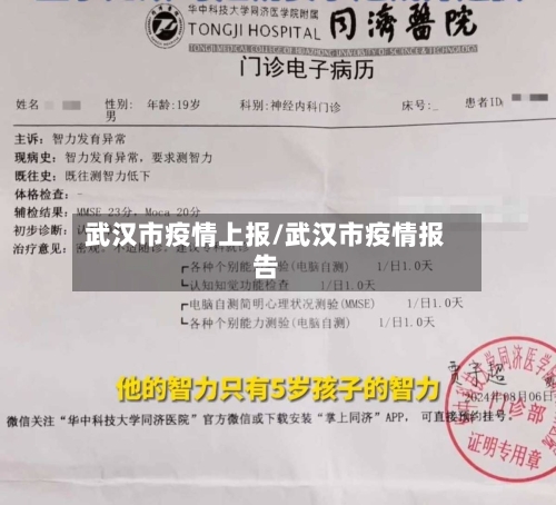 武汉市疫情上报/武汉市疫情报告-第1张图片