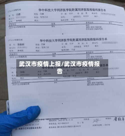 武汉市疫情上报/武汉市疫情报告-第3张图片