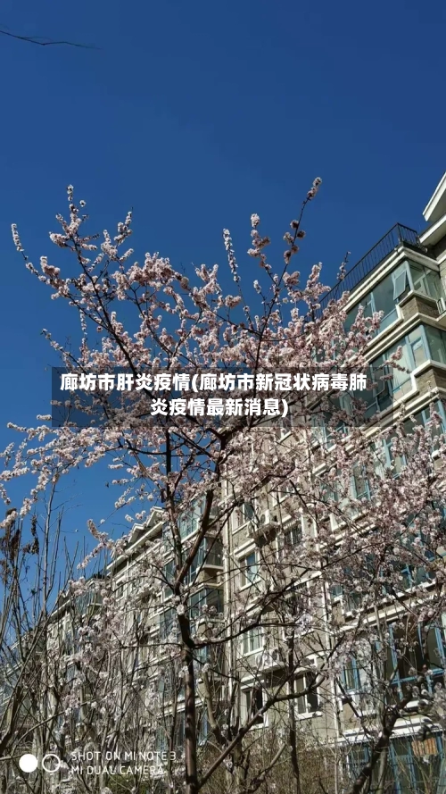 廊坊市肝炎疫情(廊坊市新冠状病毒肺炎疫情最新消息)