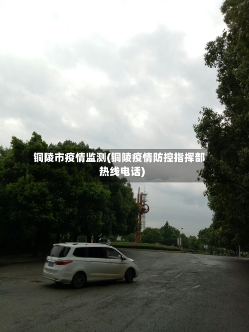 铜陵市疫情监测(铜陵疫情防控指挥部热线电话)