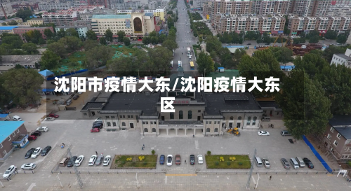 沈阳市疫情大东/沈阳疫情大东区-第3张图片