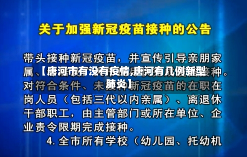 【唐河市有没有疫情,唐河有几例新型肺炎】