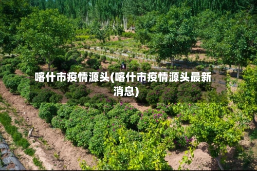 喀什市疫情源头(喀什市疫情源头最新消息)-第1张图片