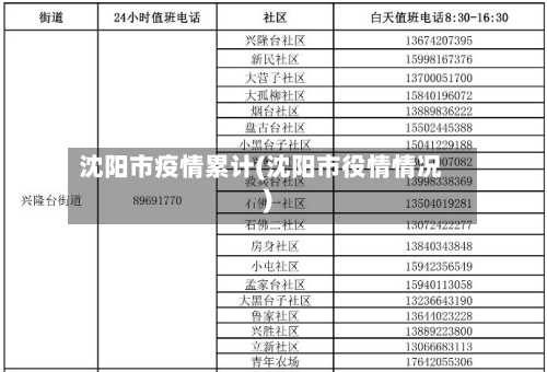 沈阳市疫情累计(沈阳市役情情况)