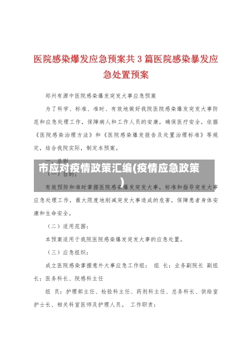 市应对疫情政策汇编(疫情应急政策)-第2张图片