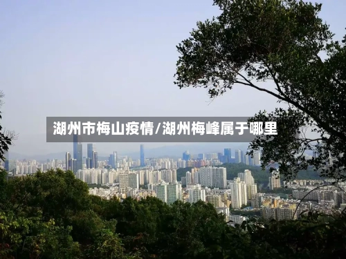 湖州市梅山疫情/湖州梅峰属于哪里-第1张图片