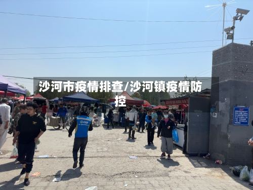 沙河市疫情排查/沙河镇疫情防控