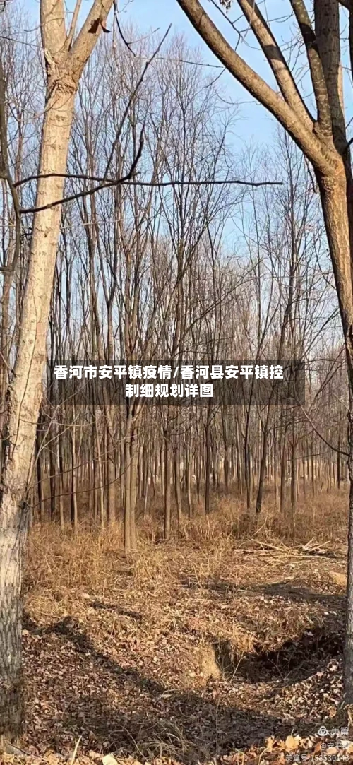 香河市安平镇疫情/香河县安平镇控制细规划详图