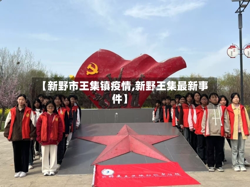 【新野市王集镇疫情,新野王集最新事件】