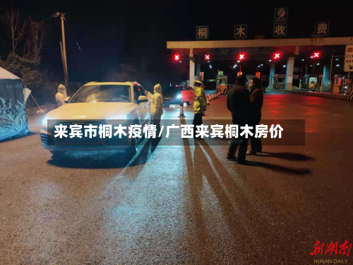 来宾市桐木疫情/广西来宾桐木房价-第1张图片