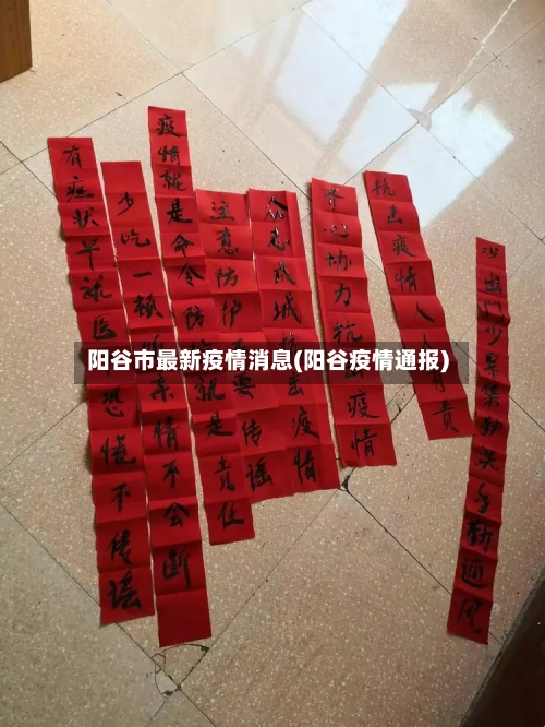 阳谷市最新疫情消息(阳谷疫情通报)