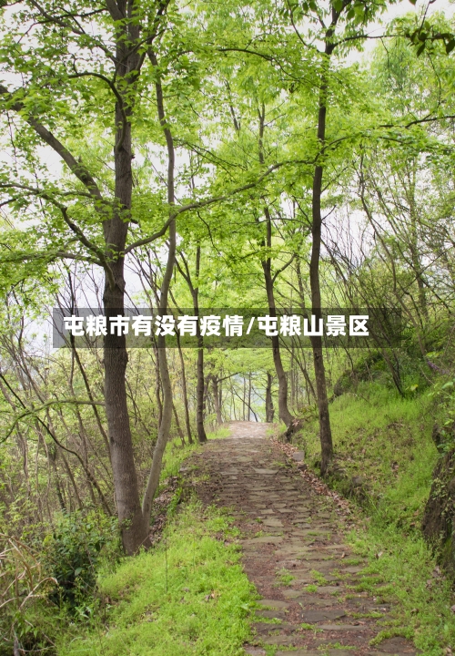 屯粮市有没有疫情/屯粮山景区-第2张图片