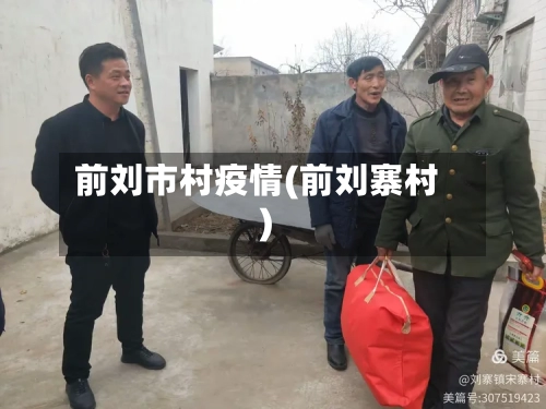前刘市村疫情(前刘寨村)