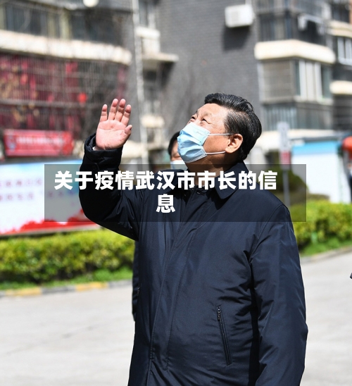 关于疫情武汉市市长的信息-第2张图片
