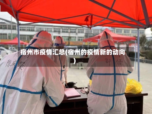 宿州市疫情汇总(宿州的疫情新的动向)-第2张图片