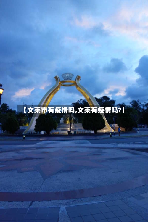 【文莱市有疫情吗,文莱有疫情吗?】