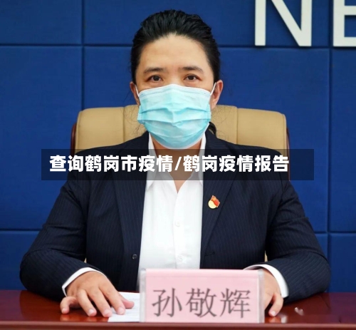 查询鹤岗市疫情/鹤岗疫情报告