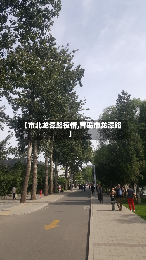 【市北龙潭路疫情,青岛市龙潭路】
