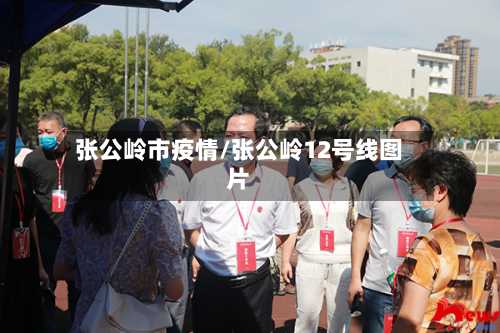张公岭市疫情/张公岭12号线图片