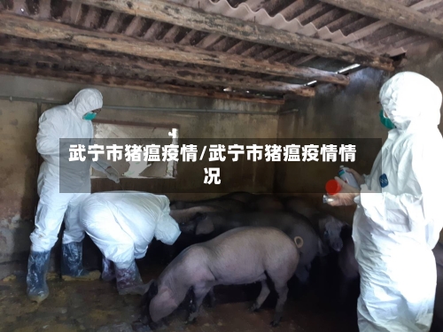 武宁市猪瘟疫情/武宁市猪瘟疫情情况-第1张图片