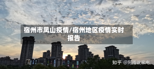 宿州市凤山疫情/宿州地区疫情实时报告-第1张图片