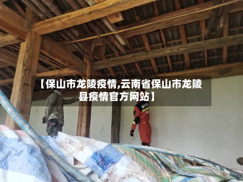【保山市龙陵疫情,云南省保山市龙陵县疫情官方网站】-第2张图片