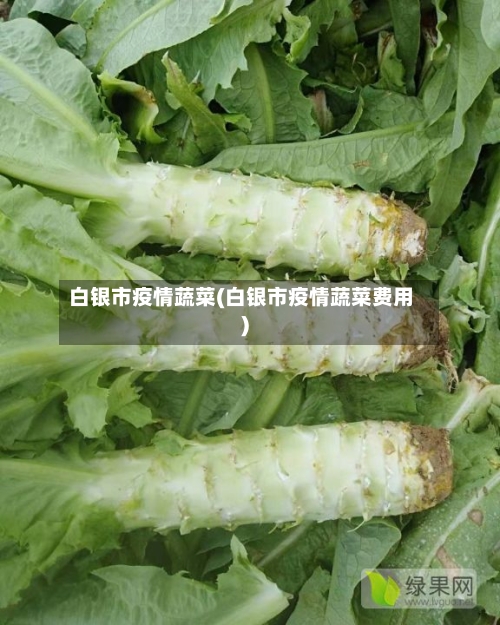 白银市疫情蔬菜(白银市疫情蔬菜费用)