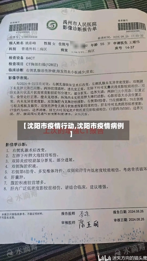 【沈阳市疫情行动,沈阳市疫情病例】