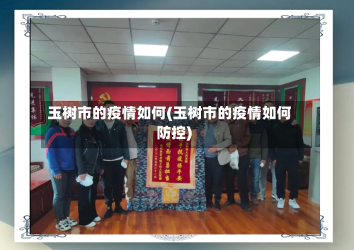 玉树市的疫情如何(玉树市的疫情如何防控)-第2张图片