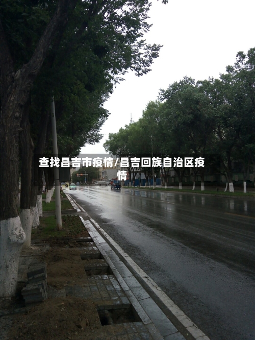 查找昌吉市疫情/昌吉回族自治区疫情-第1张图片