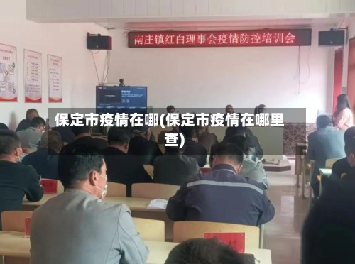 保定市疫情在哪(保定市疫情在哪里查)