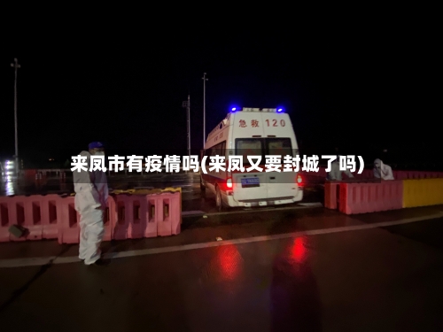 来凤市有疫情吗(来凤又要封城了吗)-第3张图片