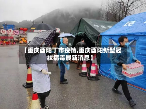 【重庆酉阳丁市疫情,重庆酉阳新型冠状病毒最新消息】-第1张图片