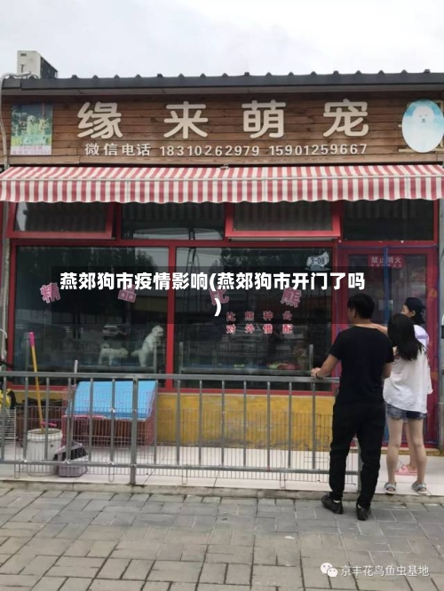 燕郊狗市疫情影响(燕郊狗市开门了吗)-第1张图片