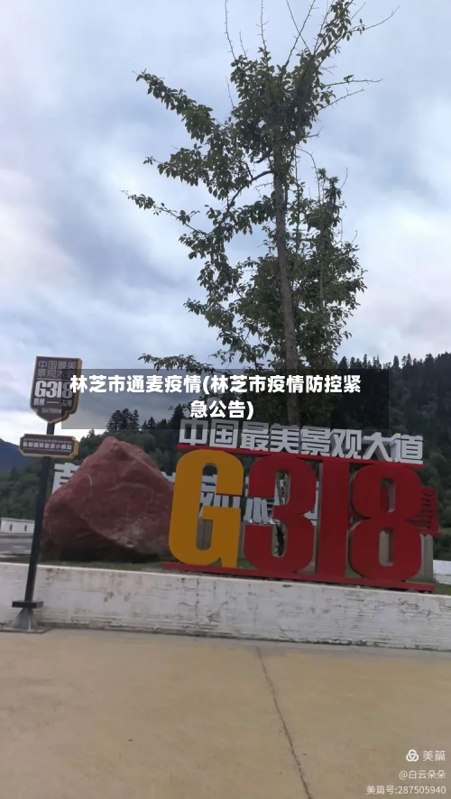 林芝市通麦疫情(林芝市疫情防控紧急公告)-第2张图片