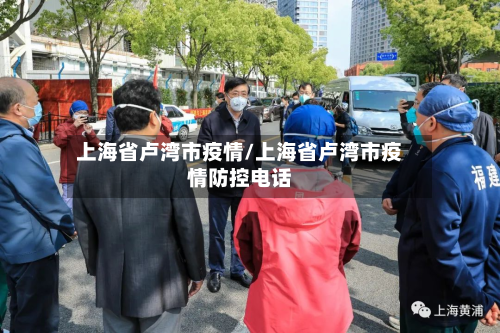 上海省卢湾市疫情/上海省卢湾市疫情防控电话-第1张图片