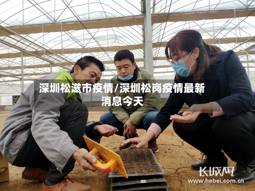 深圳松滋市疫情/深圳松岗疫情最新消息今天-第1张图片