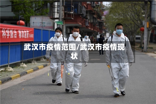 武汉市疫情范围/武汉市疫情现状-第2张图片