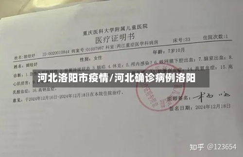 河北洛阳市疫情/河北确诊病例洛阳-第1张图片
