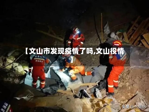 【文山市发现疫情了吗,文山役情】-第1张图片