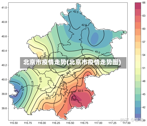 北京市疫情走势(北京市疫情走势图)-第2张图片