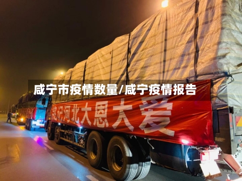 咸宁市疫情数量/咸宁疫情报告