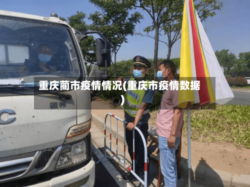 重庆蔺市疫情情况(重庆市疫情数据)