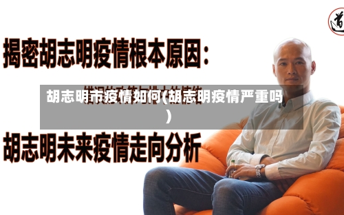 胡志明市疫情如何(胡志明疫情严重吗)-第2张图片