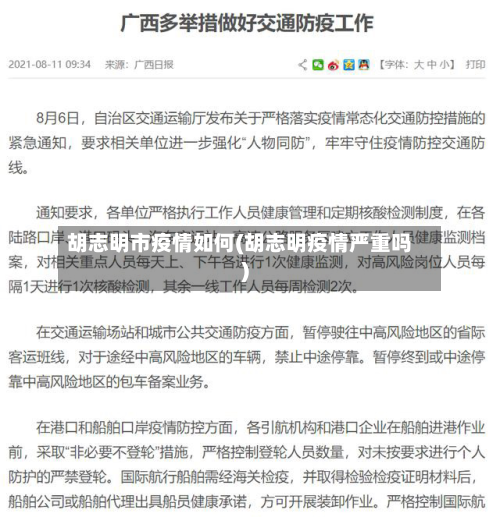 胡志明市疫情如何(胡志明疫情严重吗)-第1张图片