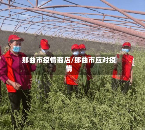 那曲市疫情商店/那曲市应对疫情